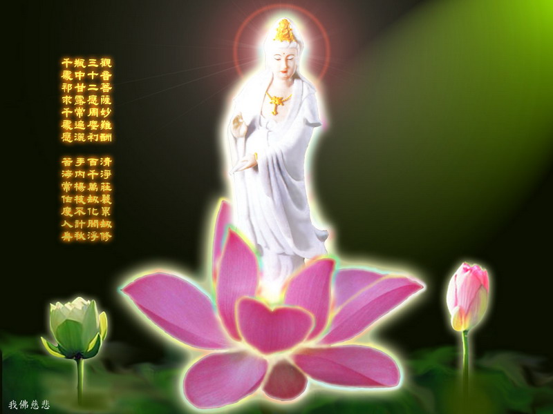 201007232137.jpg